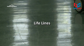  Life Lines